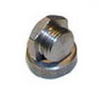 O2 SENSOR BUNG WITH PLUG STEEL